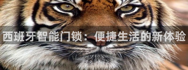 开丰娱乐不开了吗：西班牙智能门锁：便捷生活的新体验