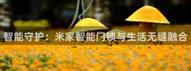 开丰娱乐登入地址在哪里：智能守护：米家智能门锁与生活无缝融合