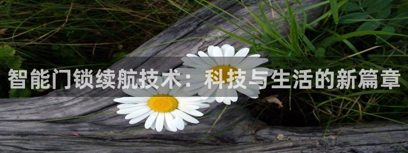 开丰娱乐左7O667：智能门锁续航技术：科技与生活的新篇章