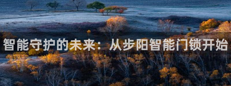 开丰娱乐注册资金多少：智能守护的未来：从步阳智能门锁开始