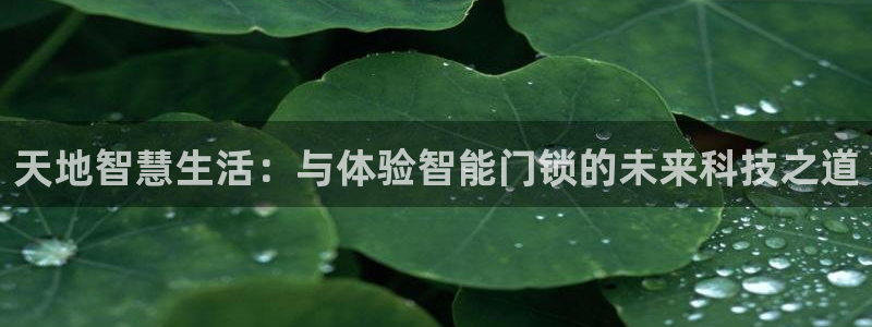 开丰娱乐月7O667：天地智慧生活：与体验智能门锁的未来科技