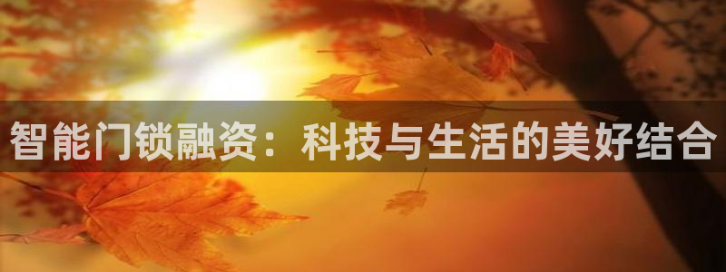 开丰娱乐平台注册时间：智能门锁融资：科技与生活的美好结合