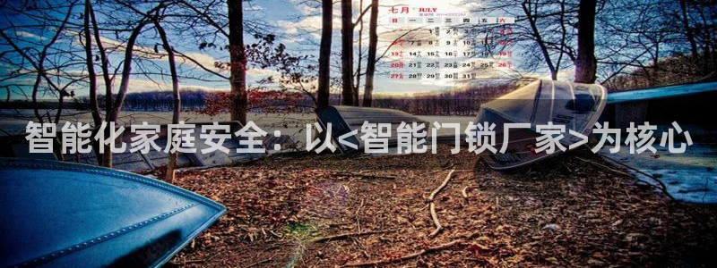 开丰娱乐平台注册时间：智能化家庭安全：以<智能门锁厂家>为核