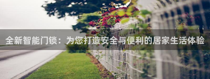开丰娱乐趣 7O935：全新智能门锁：为您打造安全与便利的居