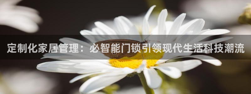 开丰娱乐网站官网首页：定制化家居管理：必智能门锁引领现代生活