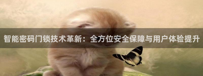 开丰娱乐网站：智能密码门锁技术革新：全方位安全保障与用户体验