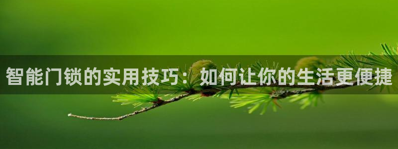 开丰娱乐天