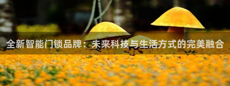 下载开丰娱乐：全新智能门锁品牌：未来科技与生活方式的完美融合