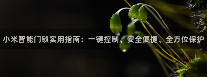 开丰娱乐测速：小米智能门锁实用指南：一键控制、安全便捷、全方