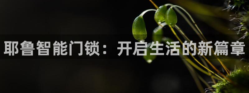 开丰娱乐注册资金多少：耶鲁智能门锁：开启生活的新篇章