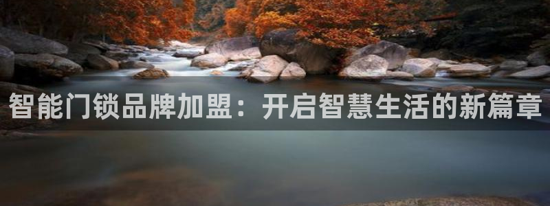 圩丰刚开的娱乐场所：智能门锁品牌加盟：开启智慧生活的新篇章