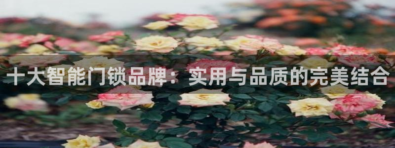 开丰娱乐咋7O777：十大智能门锁品牌：实用与品质的完美结合