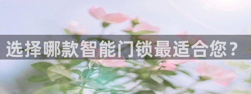 开丰娱乐登入地址是什么：选择哪款智能门锁最适合您？