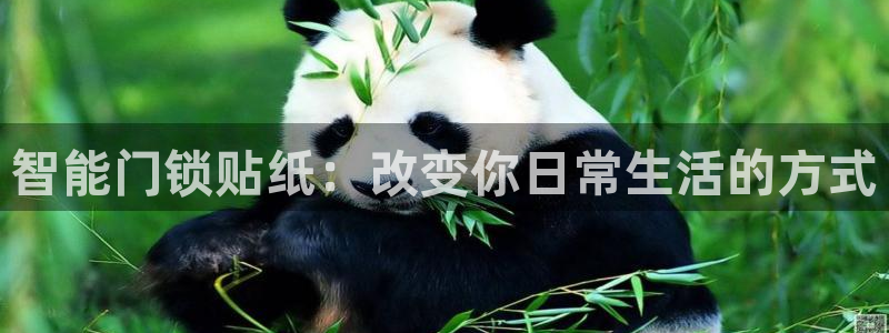 开丰娱乐日：智能门锁贴纸：改变你日常生活的方式