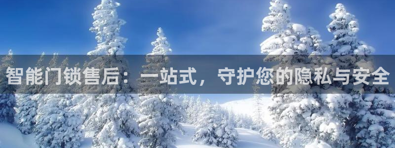 开丰娱乐注册登录：智能门锁售后：一站式，守护您的隐私与安全