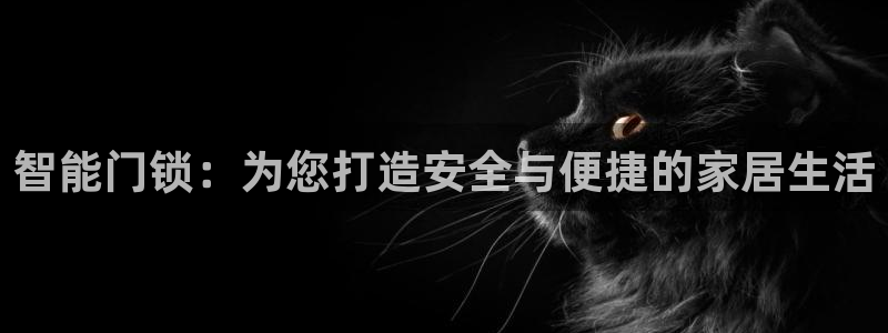 开丰娱乐地址查询：智能门锁：为您打造安全与便捷的家居生活