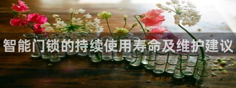开丰娱乐平台地址查询：智能门锁的持续使用寿命及维护建议