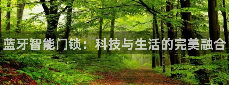 开丰娱乐日：蓝牙智能门锁：科技与生活的完美融合