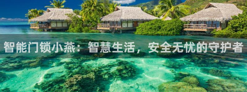 开丰娱乐予 7O935：智能门锁小燕：智慧生活，安全无忧的守