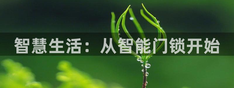 开丰娱乐67 5138：智慧生活：从智能门锁开始