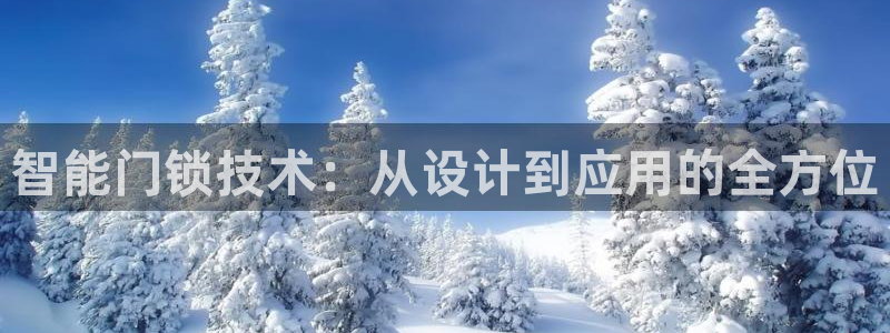 开丰娱乐注册：智能门锁技术：从设计到应用的全方位
