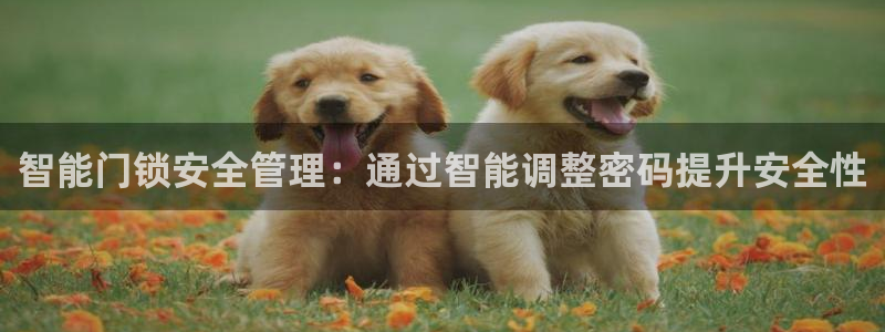 开丰娱乐平台注册地址：智能门锁安全管理：通过智能调整密码提升