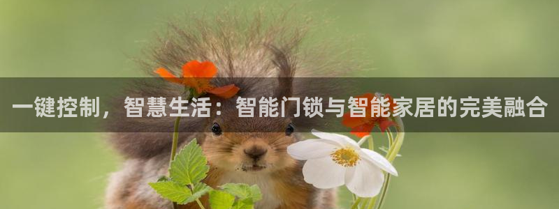 开丰娱乐网站官网首页：一键控制，智慧生活：智能门锁与智能家居