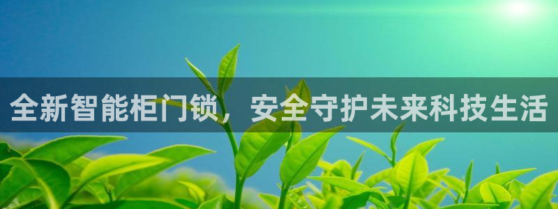 开丰娱乐乙833_43：全新智能柜门锁，安全守护未来科技生活