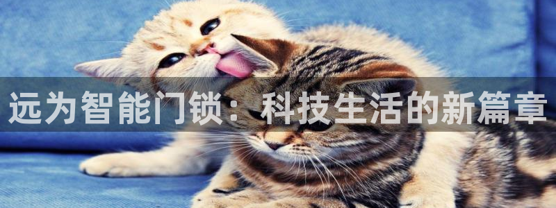 开丰娱乐 赢咖一：远为智能门锁：科技生活的新篇章