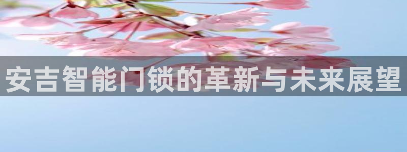 开丰娱乐网官网注册入口：安吉智能门锁的革新与未来展望