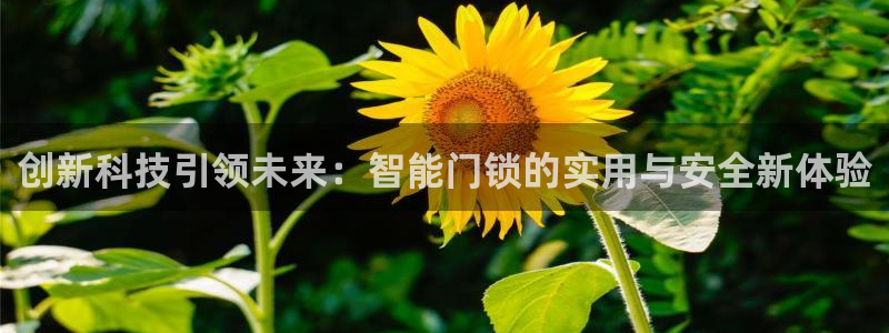 开丰娱乐官网平台登录：创新科技引领未来：智能门锁的实用与安全