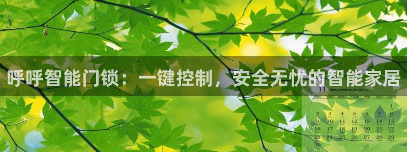 开丰娱乐注册系究耍333OO：呼呼智能门锁：一键控制，安全无