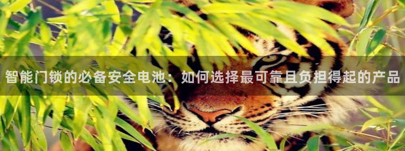 开丰娱乐万六七五一38