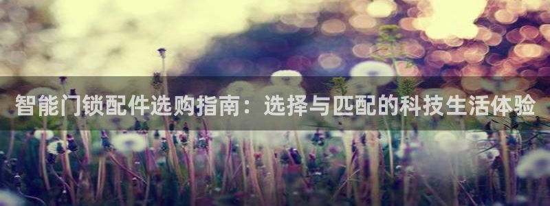 下载开丰娱乐：智能门锁配件选购指南：选择与匹配的科技生活体验