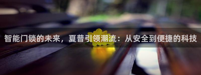 开丰娱乐山67五壹叁八：智能门锁的未来，夏普引领潮流：从安全