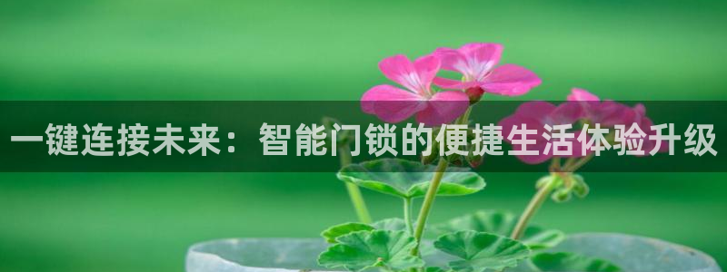 开丰娱乐上：一键连接未来：智能门锁的便捷生活体验升级