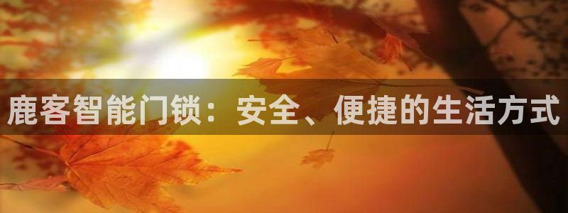 圩丰刚开的娱乐场所：鹿客智能门锁：安全、便捷的生活方式