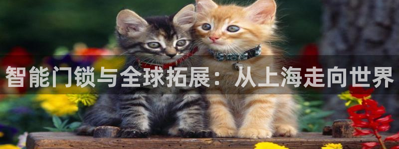 开丰娱乐天：智能门锁与全球拓展：从上海走向世界