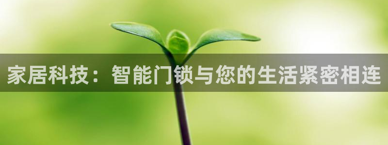开丰娱乐除7O777：家居科技：智能门锁与您的生活紧密相连