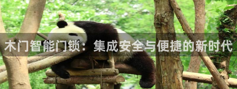 开丰娱乐新登录平台：木门智能门锁：集成安全与便捷的新时代