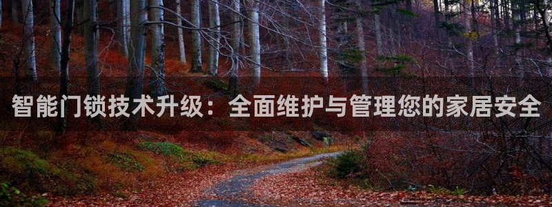 开丰娱乐登录网址：智能门锁技术升级：全面维护与管理您的家居安