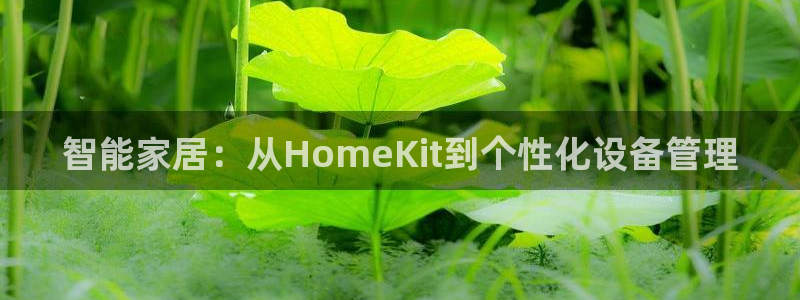 开丰娱乐下：智能家居：从HomeKit到个性化设备管理