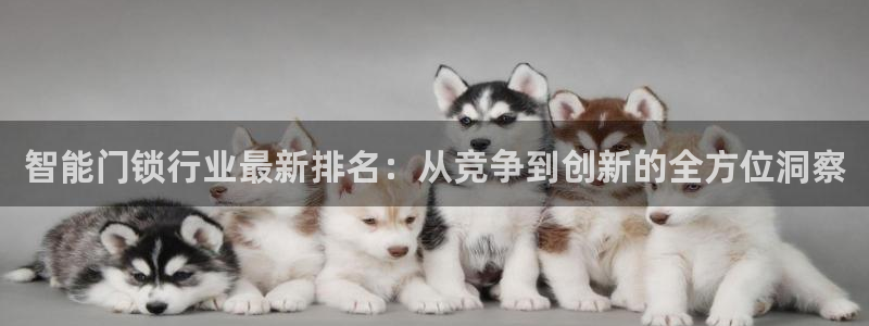 开丰娱乐万六七五一38：智能门锁行业最新排名：从竞争到创新的