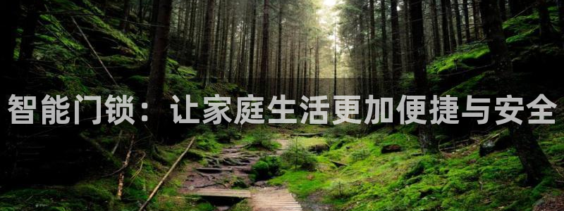 开丰娱乐会员中心：智能门锁：让家庭生活更加便捷与安全