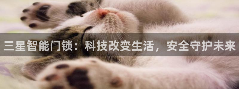 开丰娱乐官网平台下载