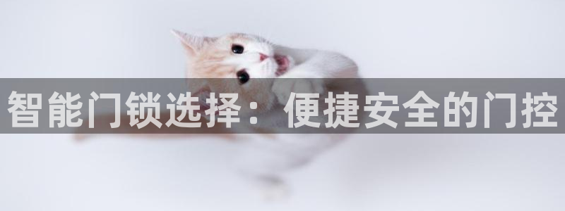 开丰娱乐主管家去判官333OO：智能门锁选择：便捷安全的门控