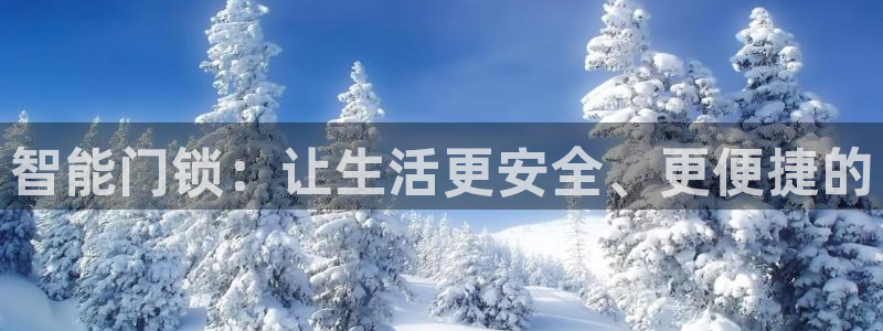 开丰娱乐后7O667：智能门锁：让生活更安全、更便捷的