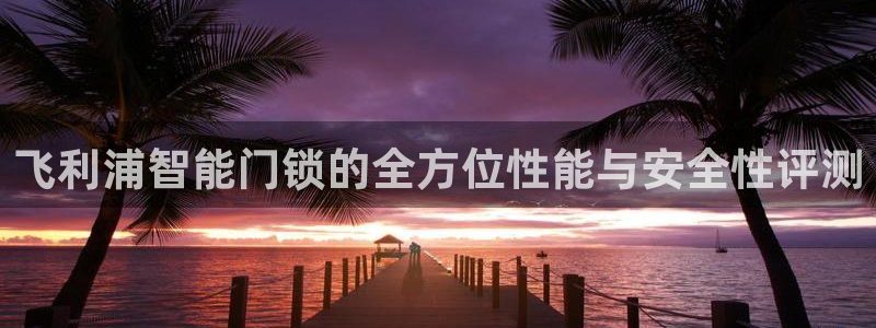 开丰娱乐登录网址：飞利浦智能门锁的全方位性能与安全性评测