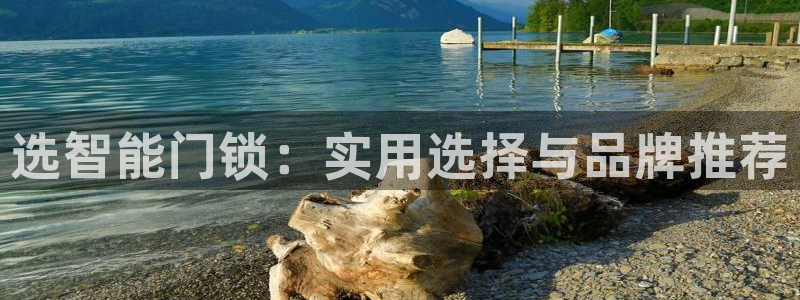 开丰娱乐平台：选智能门锁：实用选择与品牌推荐