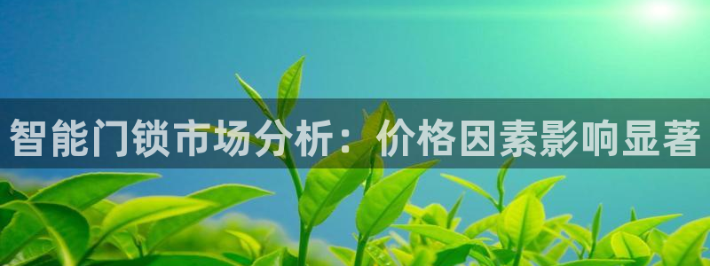 开丰娱乐下载安装：智能门锁市场分析：价格因素影响显著